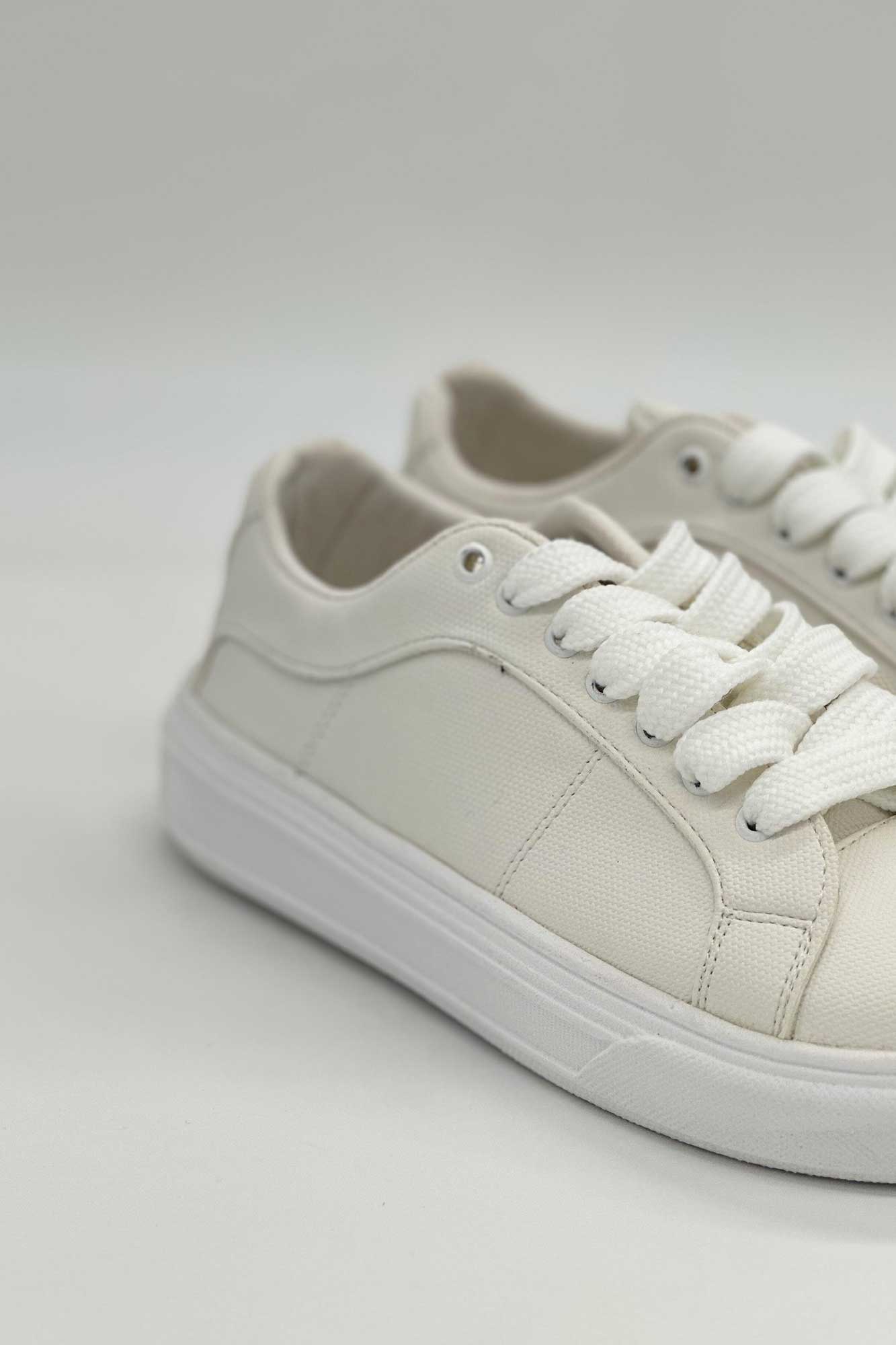 ونس جودون بنددار