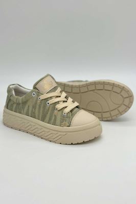 ونس جین زاپدار