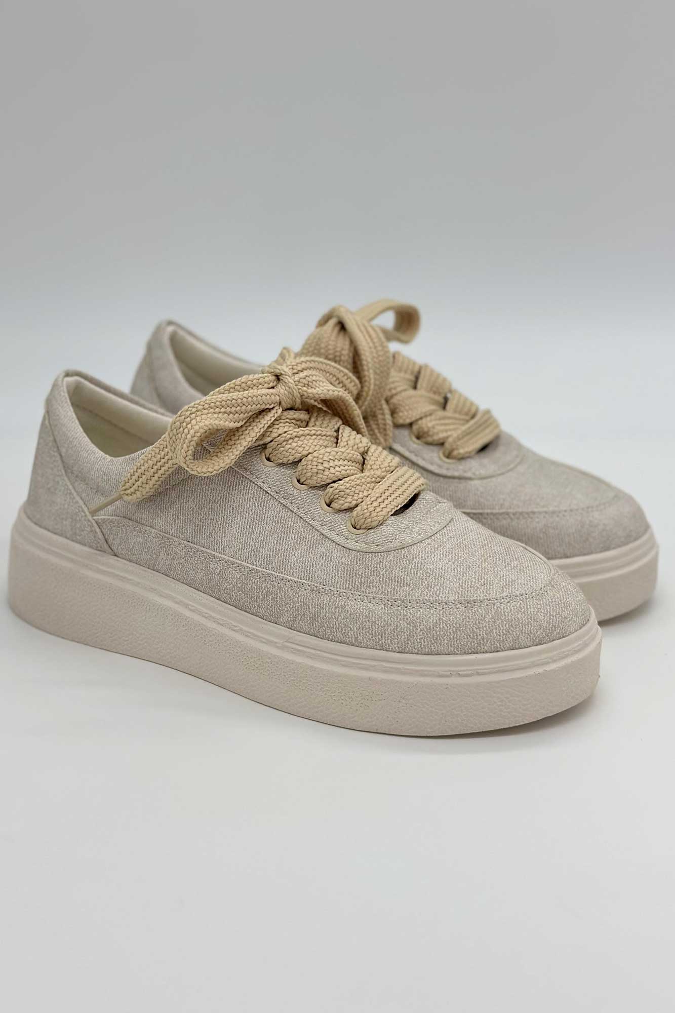 ونس جین زیره پیو تامی