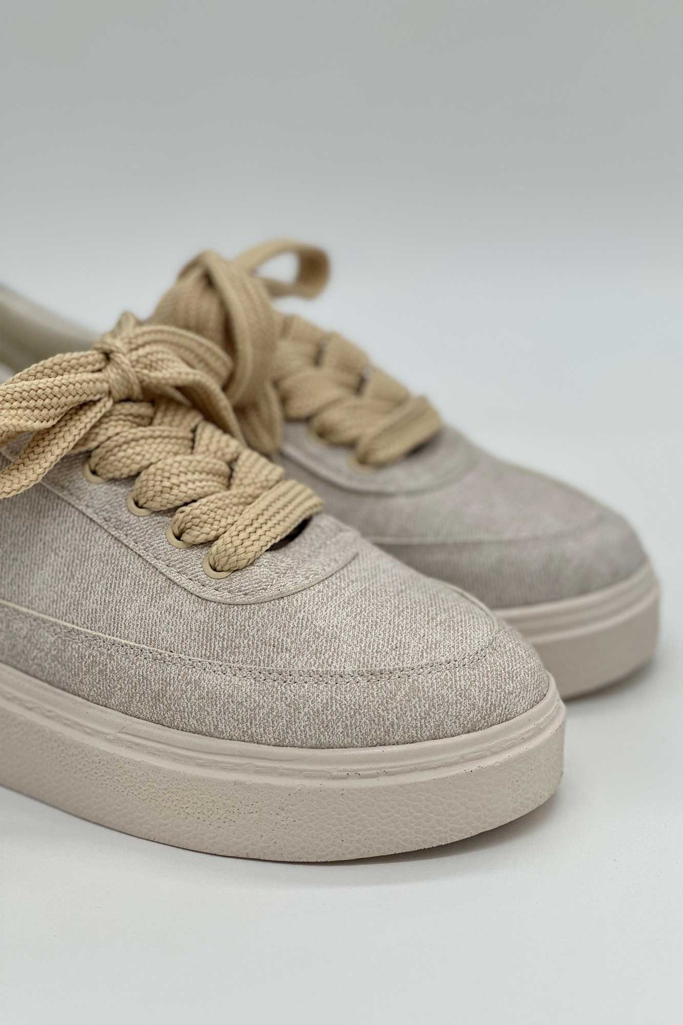 ونس جین زیره پیو تامی