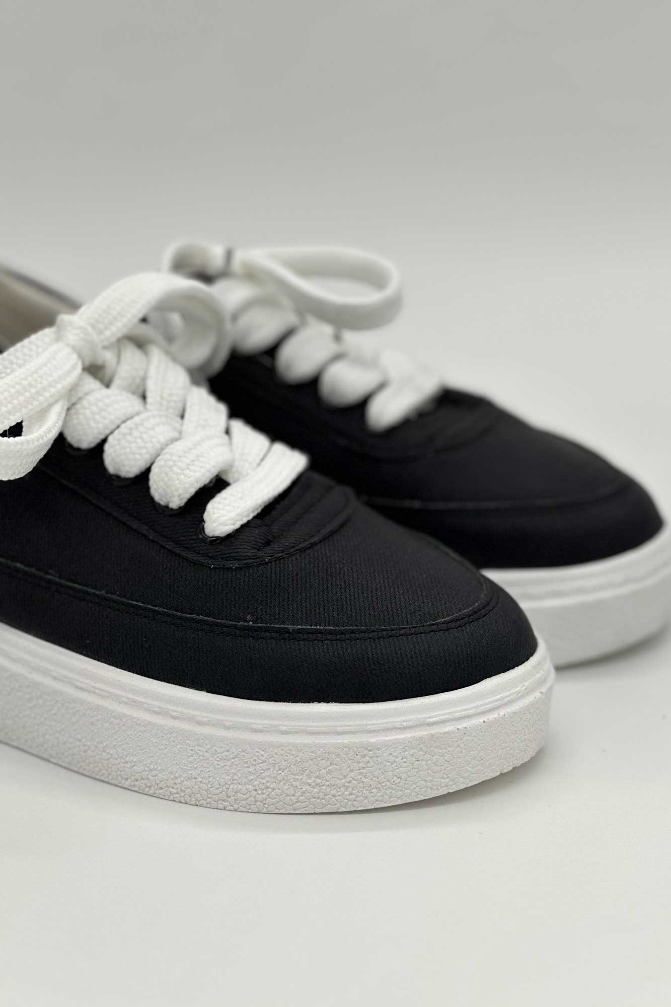 ونس جین زیره پیو تامی