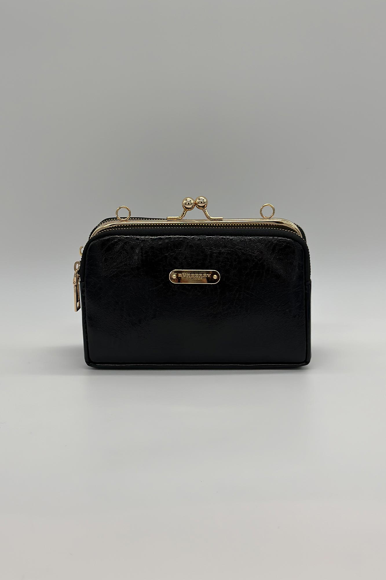 پاس منگو ورنی 4202