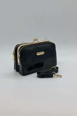 پاس منگو ورنی 4202