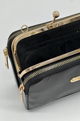 پاس منگو ورنی 4202